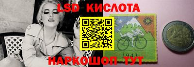шишки Кингисепп