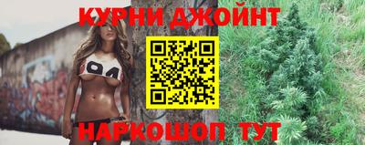 шишки Кингисепп